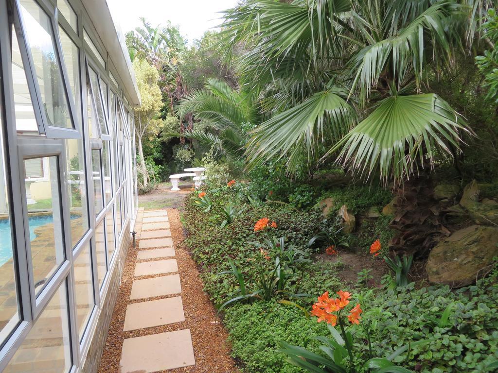 Sunbird Cottage Noordhoek Kültér fotó