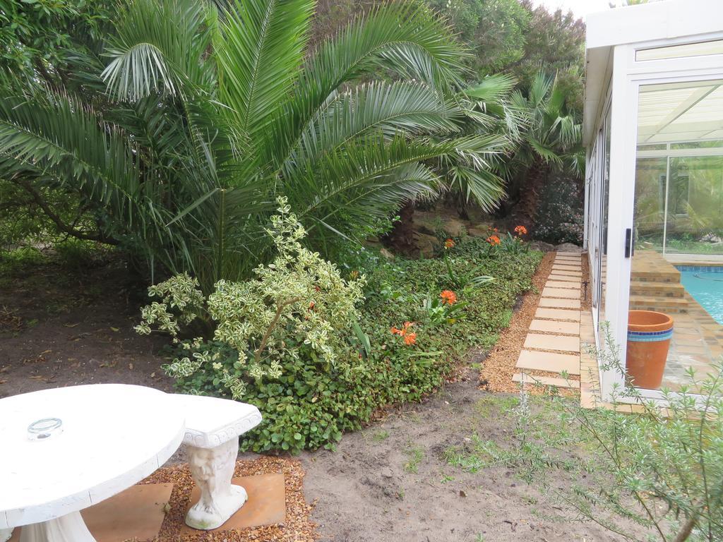 Sunbird Cottage Noordhoek Kültér fotó