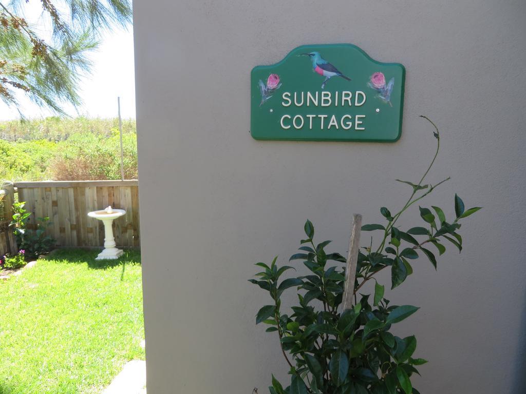 Sunbird Cottage Noordhoek Kültér fotó