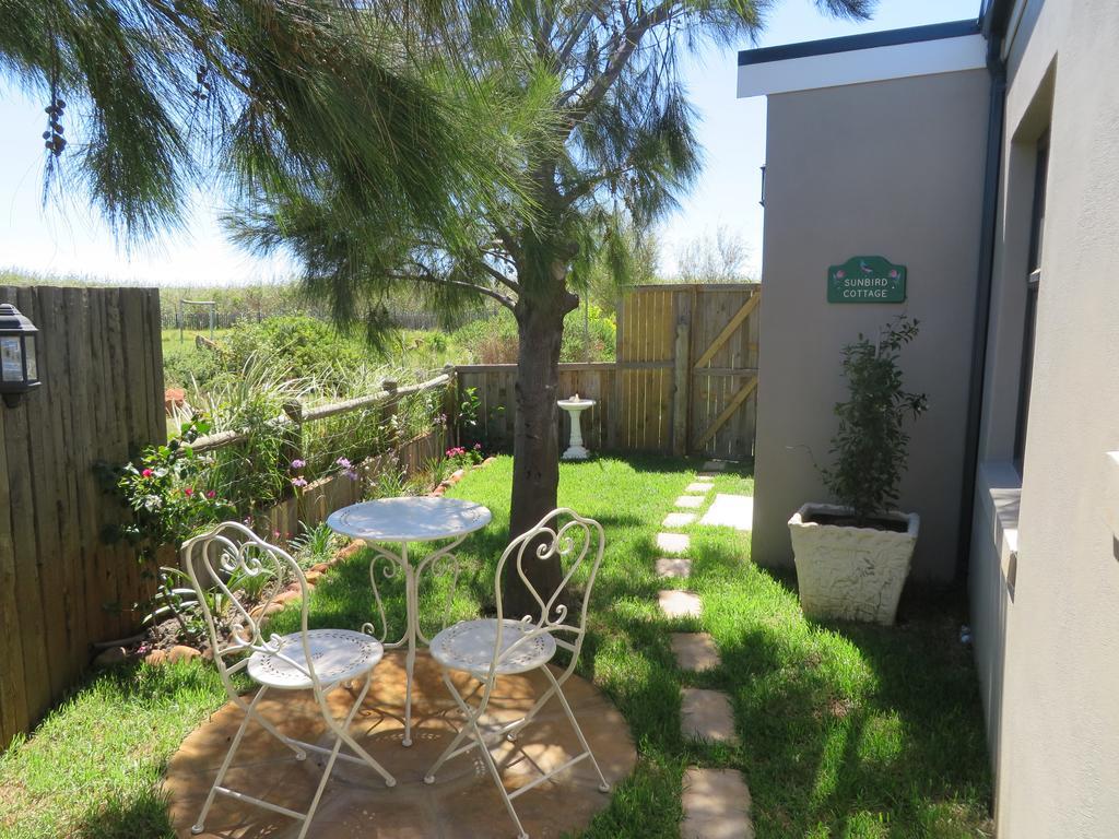 Sunbird Cottage Noordhoek Kültér fotó