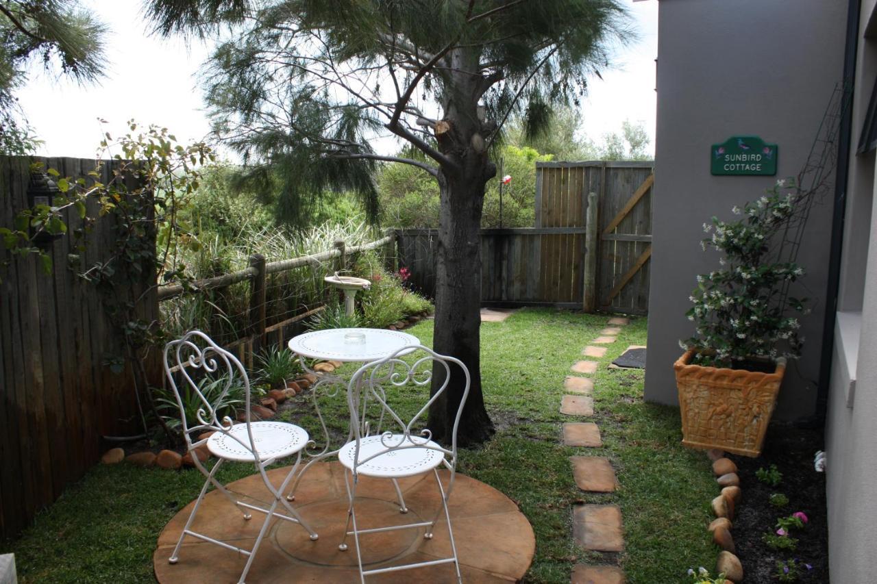 Sunbird Cottage Noordhoek Kültér fotó